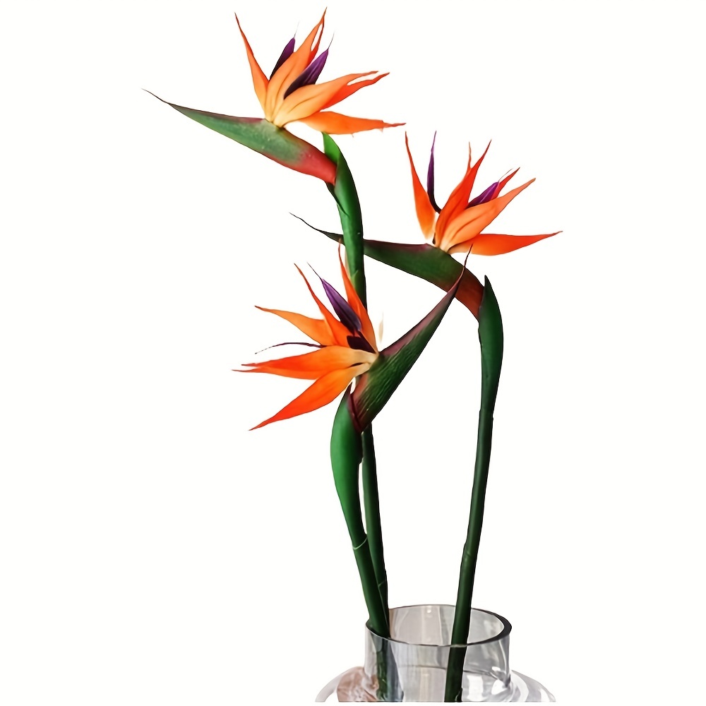 Bird Paradise Strelitzia - 3 buah bunga burung surga bunga