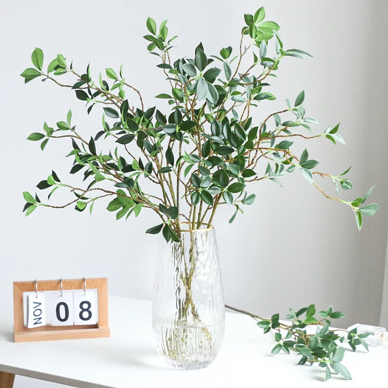 Ficus Lyrata Tree - Daun Palsu Cabang Pohon Ficus Tenuifia