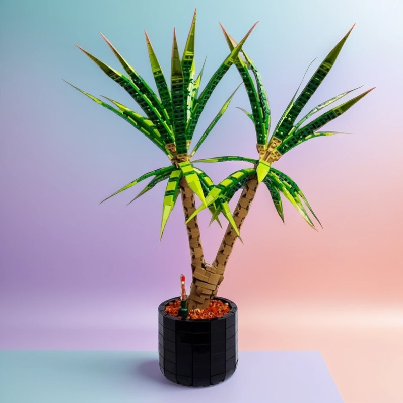 1961PCS MOC Kastil Abad Perten - Dracaena Marginata ulasan dan harga