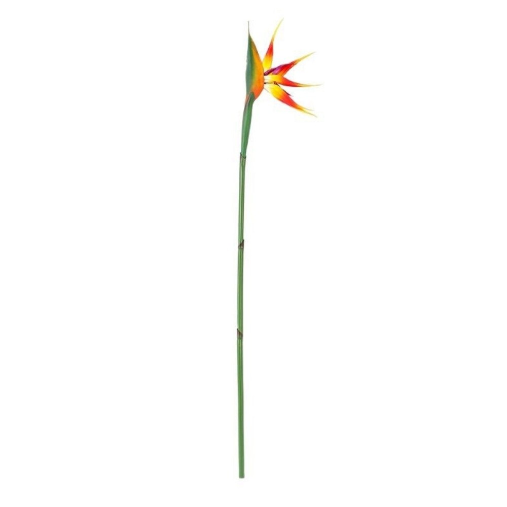 Bunga Strelitzia Buatan dengan - Bird Paradise Strelitzia ulasan dan harga