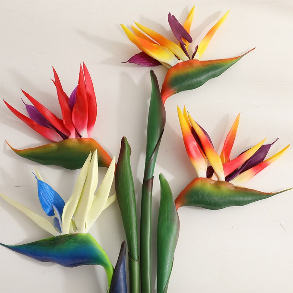 Bunga Strelitzia Buatan dengan - Bird Paradise Strelitzia ulasan dan harga