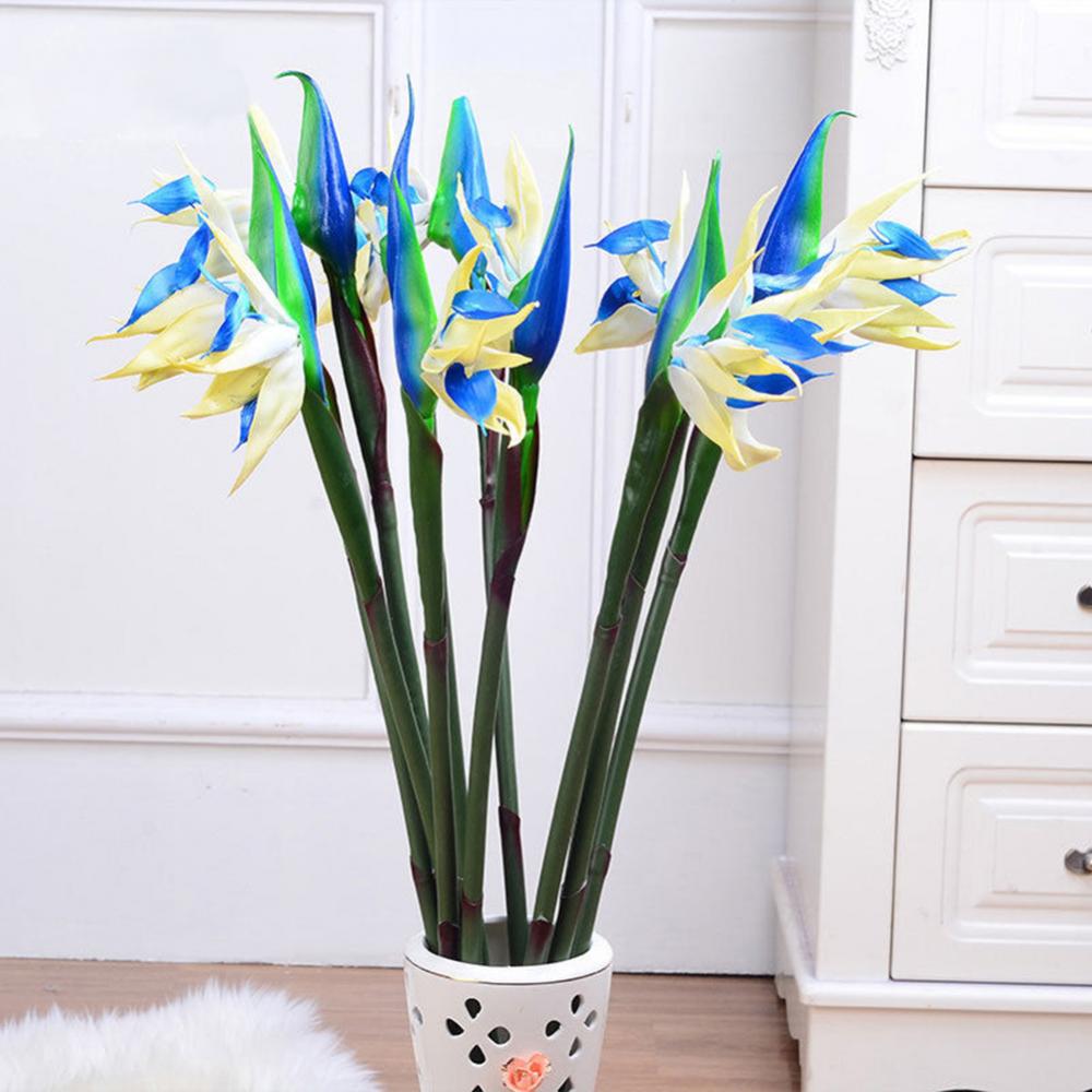 1 buah 80cm bunga burung surga - Bird Paradise Strelitzia ulasan dan harga