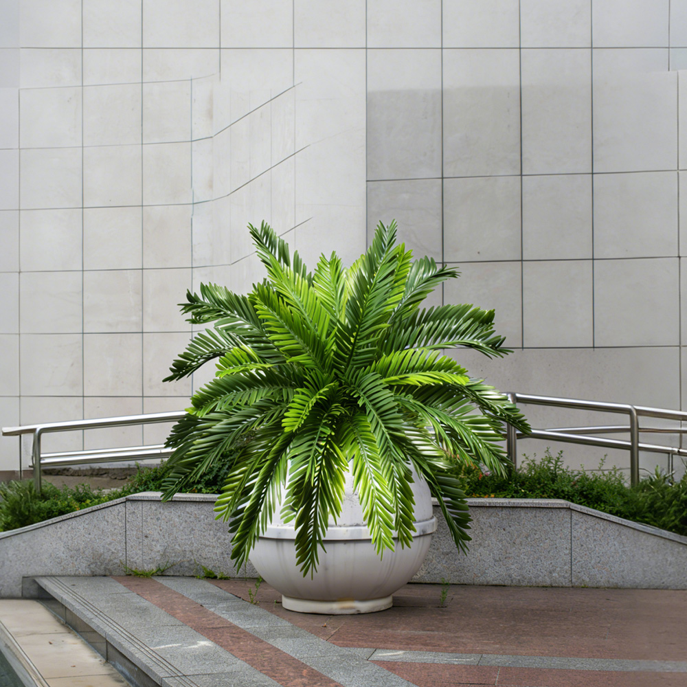 Tanaman Palem Buatan 45cm, Poh - Dracaena Marginata ulasan dan harga