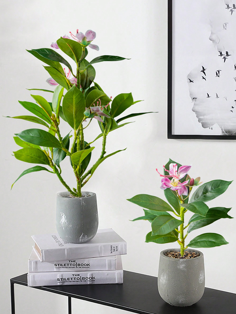 Tanaman azalea buatan 21-40cm  - Ficus Lyrata Tree ulasan dan harga