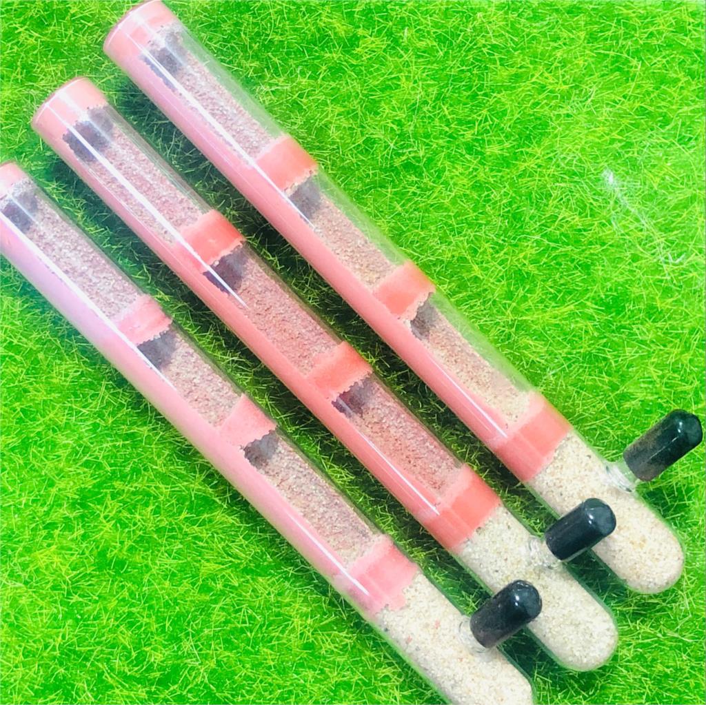 Mudah Pelembab Pasir DIY Ekolo - Begonia Rex ulasan dan harga