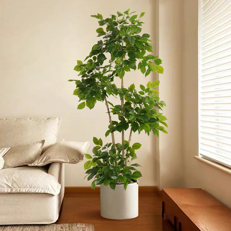 2-78in Tanaman Palsu Besar Bua - Ficus Lyrata Tree ulasan dan harga