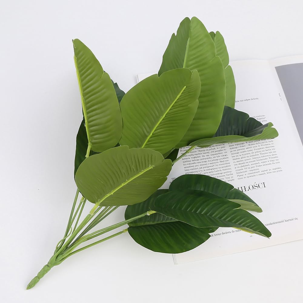 2 Buah Tanaman Burung Surga Bu - Bird Paradise Strelitzia ulasan dan harga
