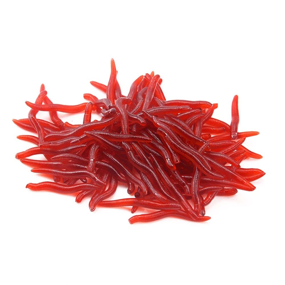 100 buah/botol realistis menga - Aglaonema Red ulasan dan harga