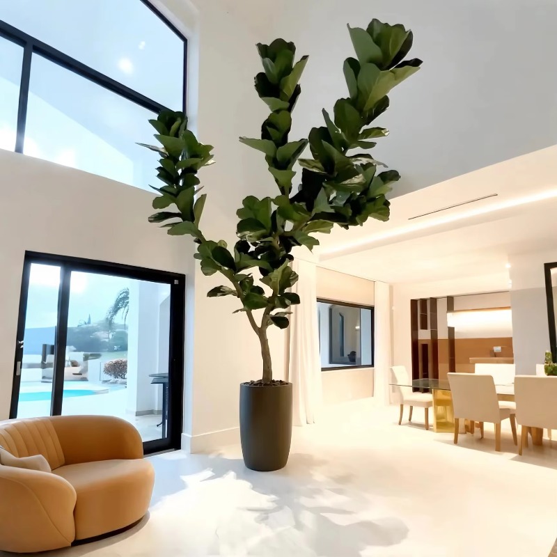 Tanaman Buatan Tanaman Pot Dal - Ficus Lyrata Tree ulasan dan harga