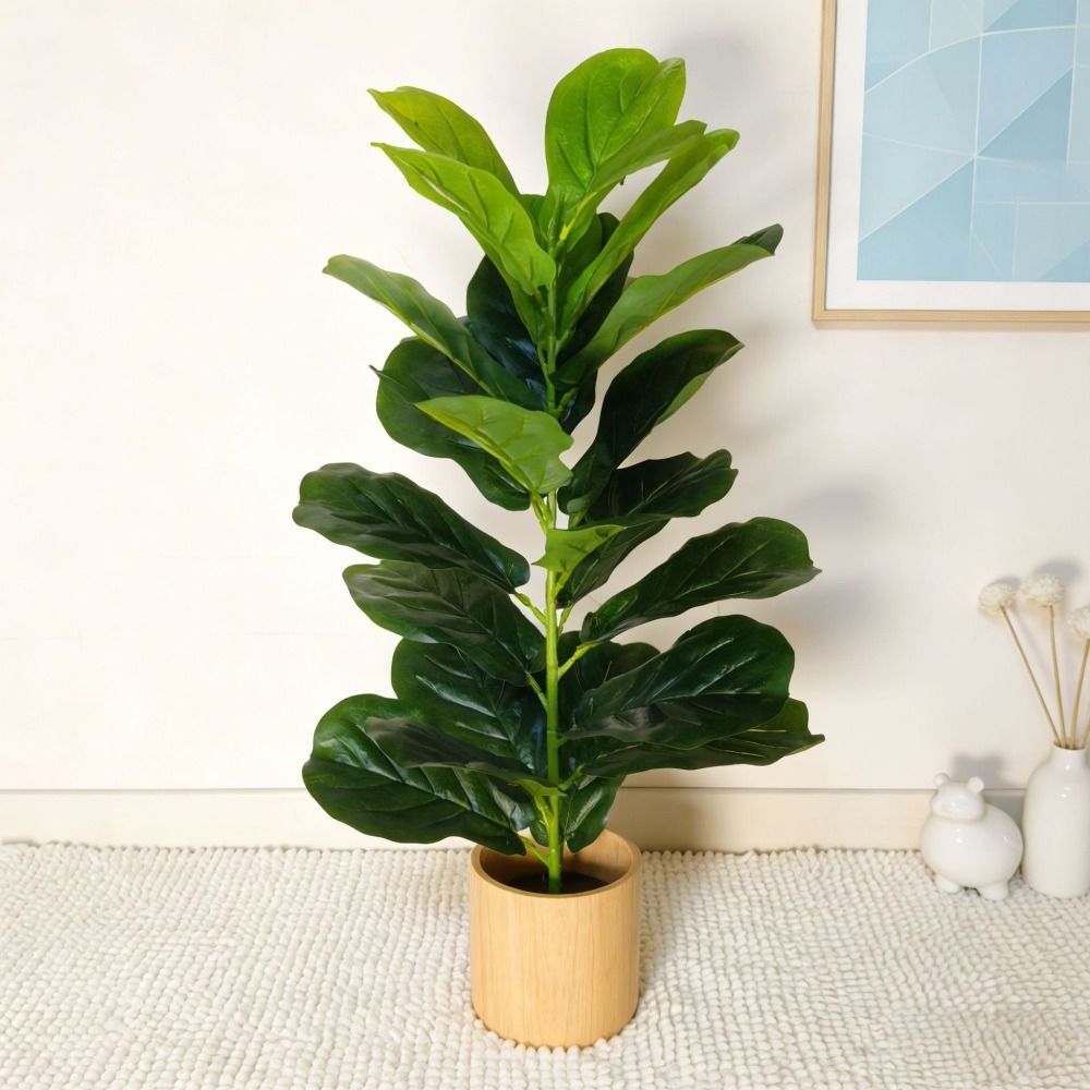 Pohon Ficus Plastik Hijau Ukur - Ficus Lyrata Tree ulasan dan harga