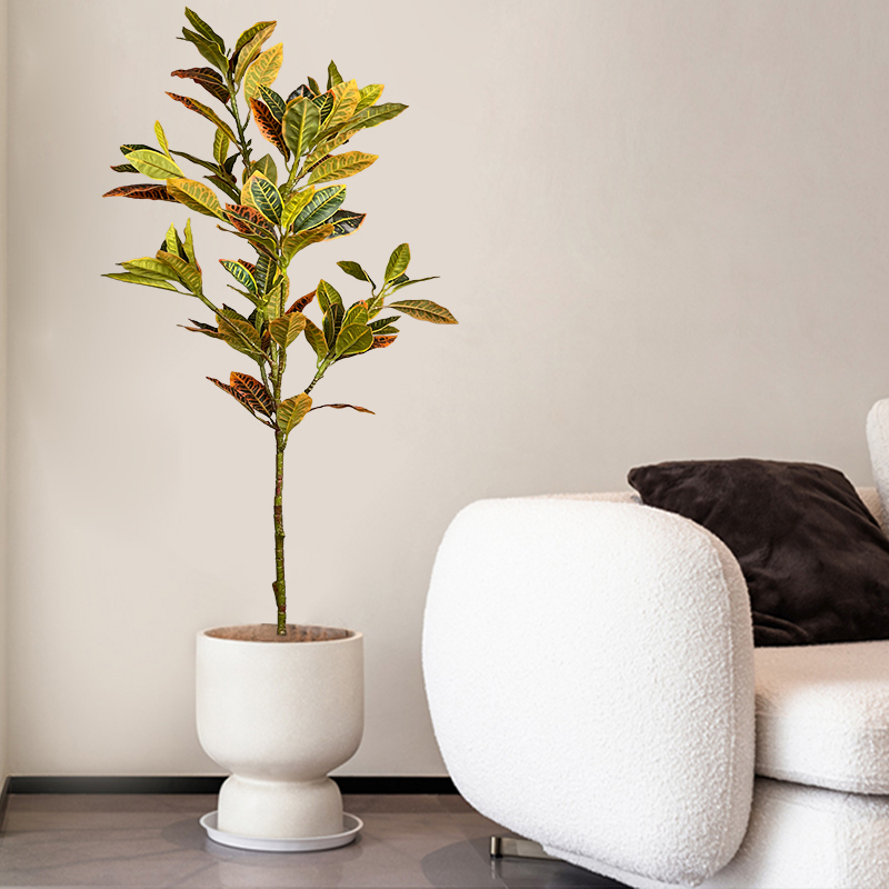 Pohon Ficus palsu besar 120cm  - Ficus Lyrata Tree ulasan dan harga