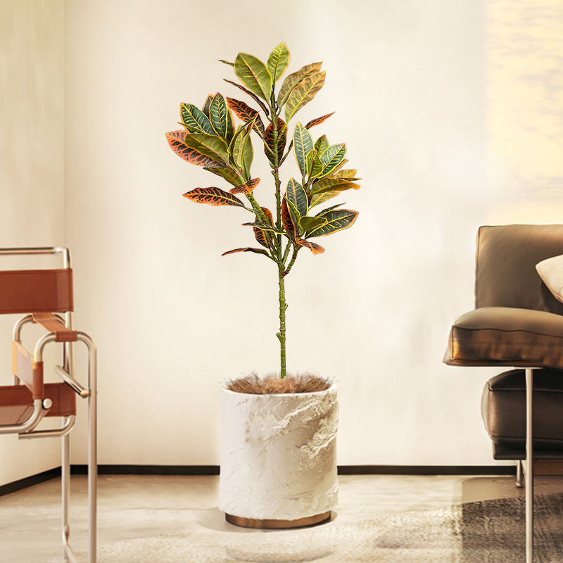 Pohon Ficus palsu besar 120cm  - Ficus Lyrata Tree ulasan dan harga