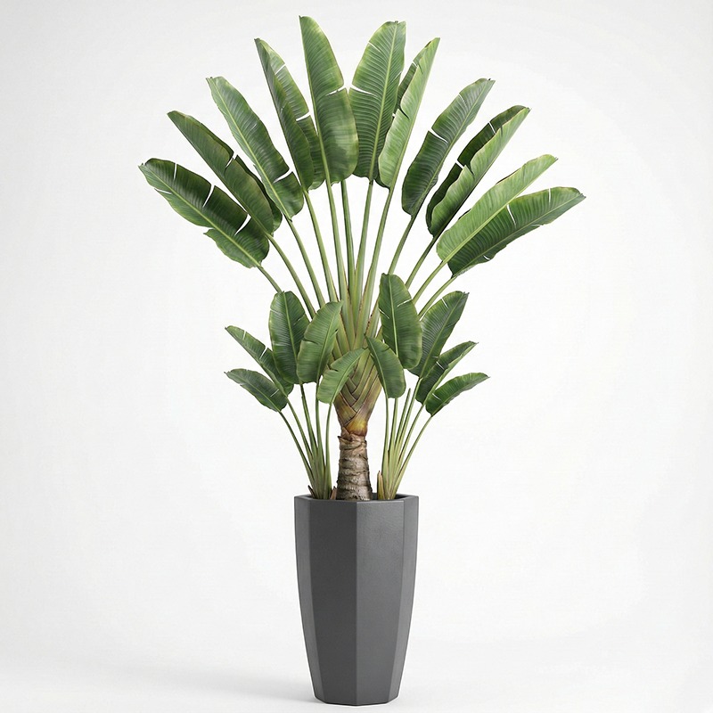 Pohon Fiddle Leaf Fig Plastik  - Ficus Lyrata Tree ulasan dan harga
