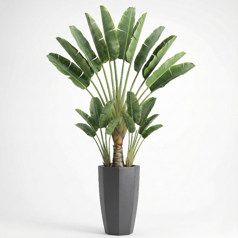 Pohon Fiddle Leaf Fig Plastik  - Ficus Lyrata Tree ulasan dan harga