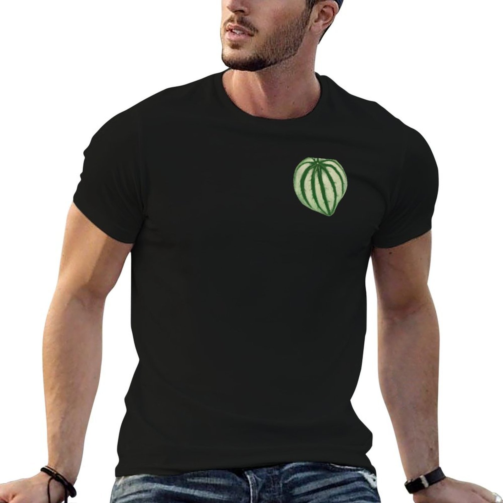 Kaos Watermelon Peperomia Dry  - Peperomia Watermelon ulasan dan harga