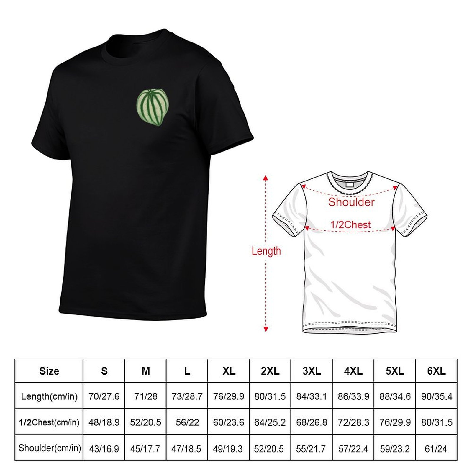 Kaos Watermelon Peperomia Dry  - Peperomia Watermelon ulasan dan harga