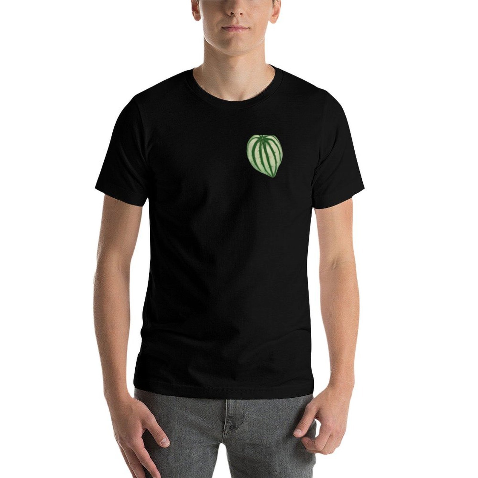 Kaos Watermelon Peperomia Dry  - Peperomia Watermelon ulasan dan harga