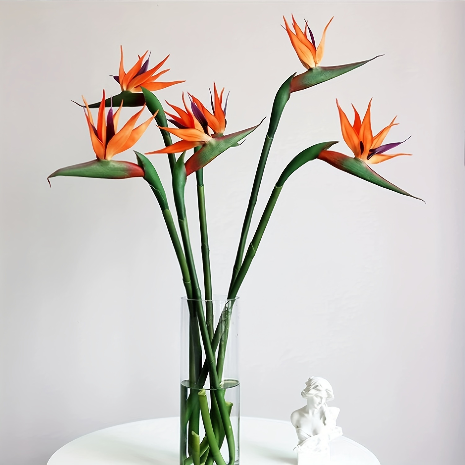 3 buah bunga burung surga bung - Bird Paradise Strelitzia ulasan dan harga