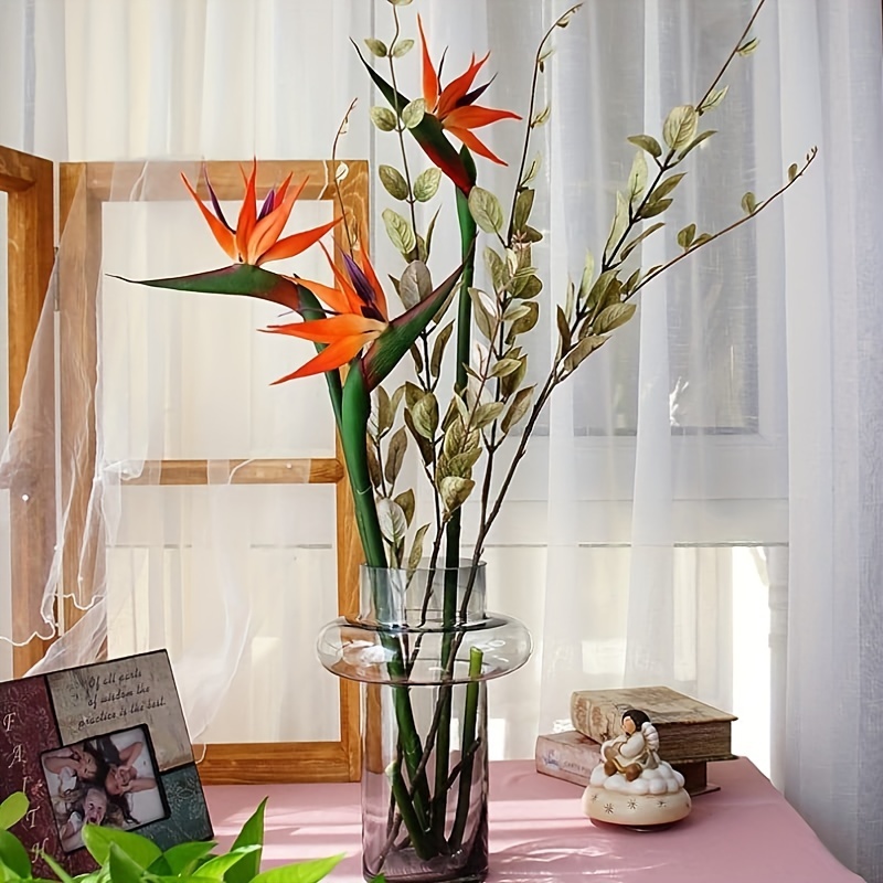 3 buah bunga burung surga bung - Bird Paradise Strelitzia ulasan dan harga