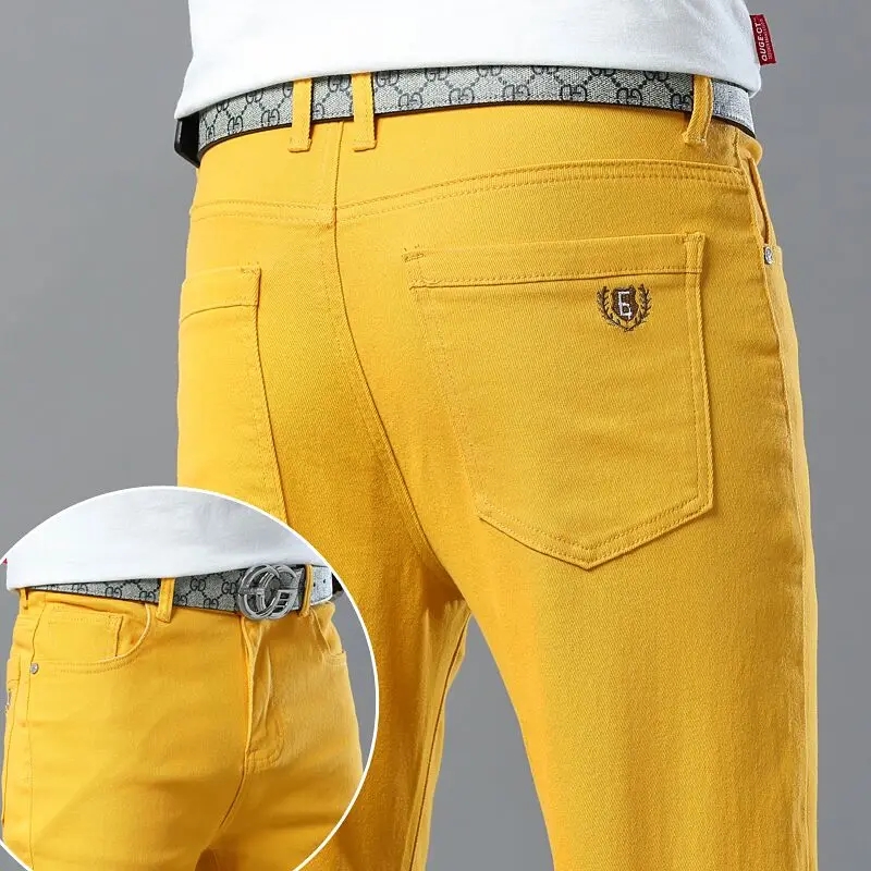 Celana Denim regang warna-warn - Aglaonema Red ulasan dan harga