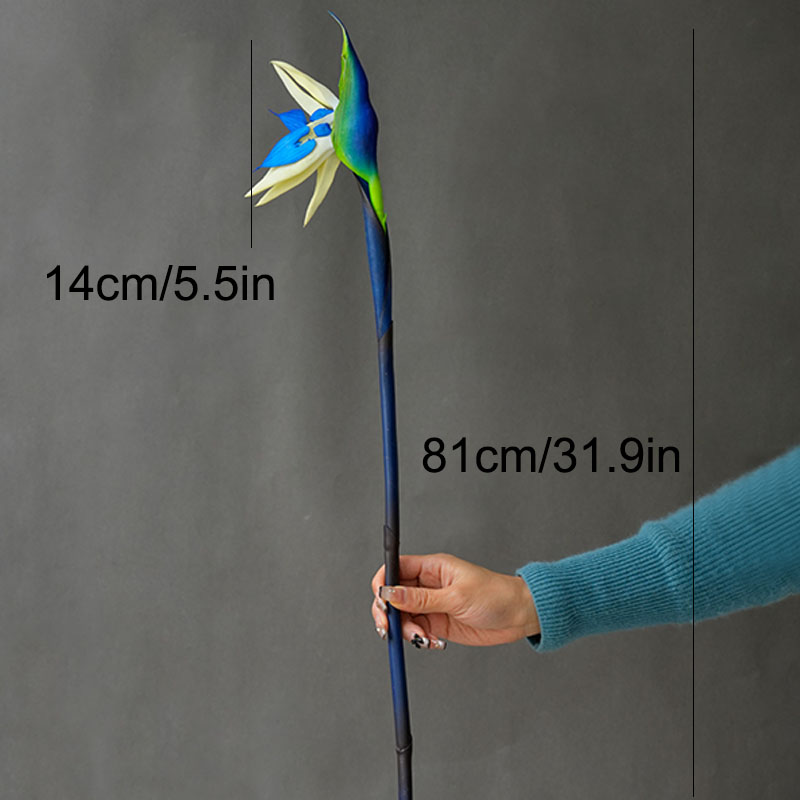 1 Buah Bunga Burung Surga Buat - Bird Paradise Strelitzia ulasan dan harga