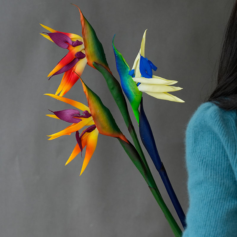 1 Buah Bunga Burung Surga Buat - Bird Paradise Strelitzia ulasan dan harga