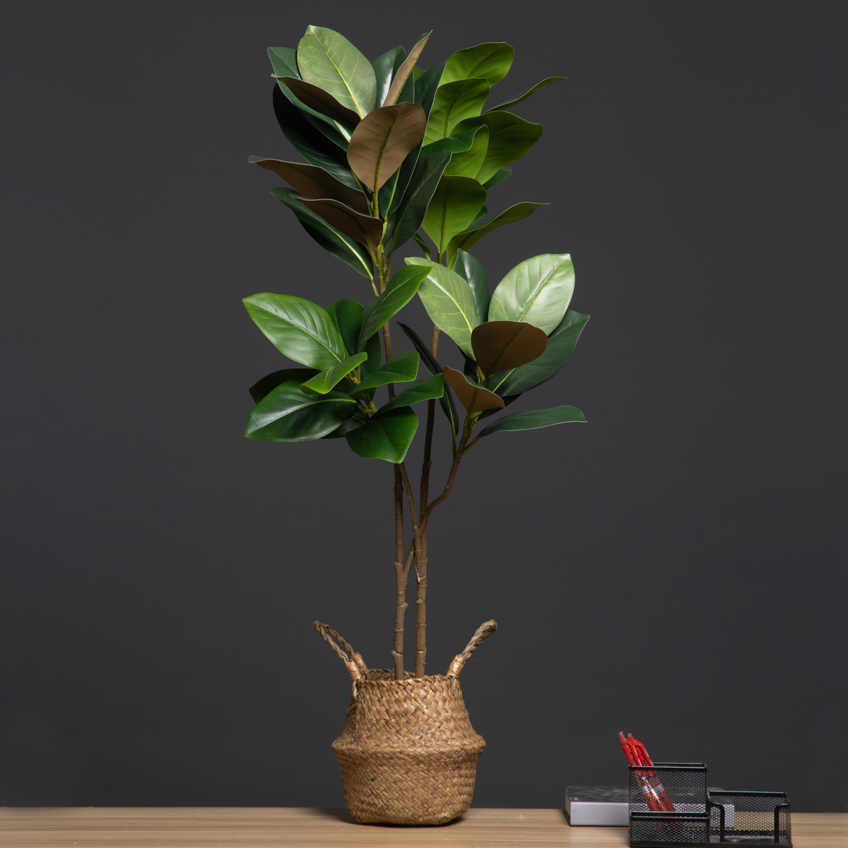 Tanaman buatan besar 2 garpu 1 - Dracaena Marginata ulasan dan harga