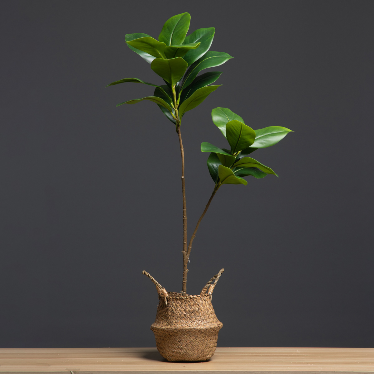 Tanaman buatan besar 2 garpu 1 - Dracaena Marginata ulasan dan harga