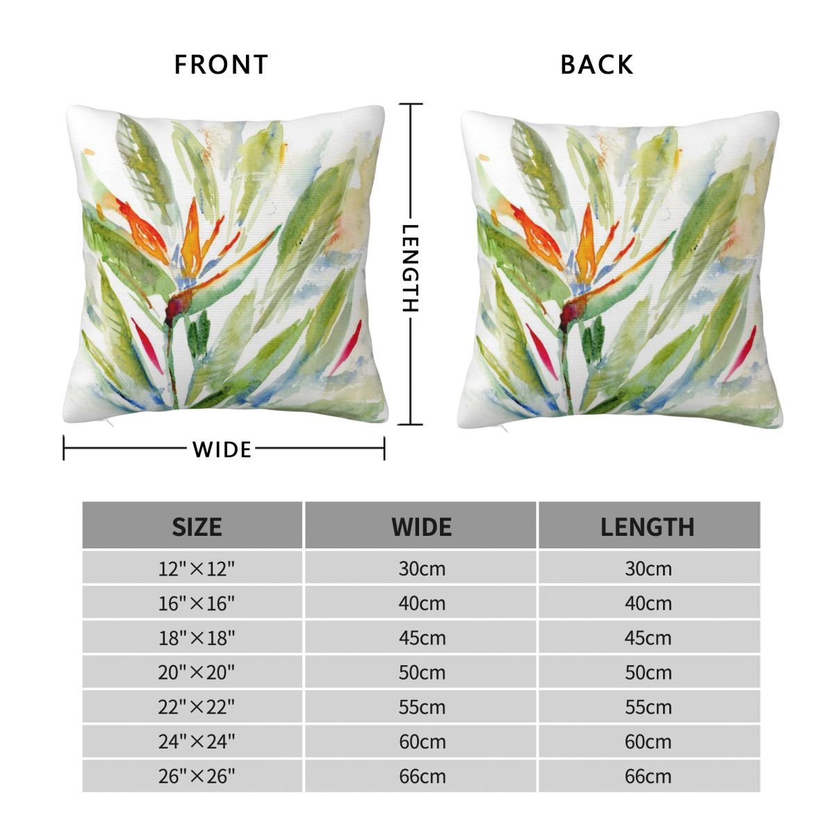 Bird Of Paradise Strelitzia Sa - Bird Paradise Strelitzia ulasan dan harga