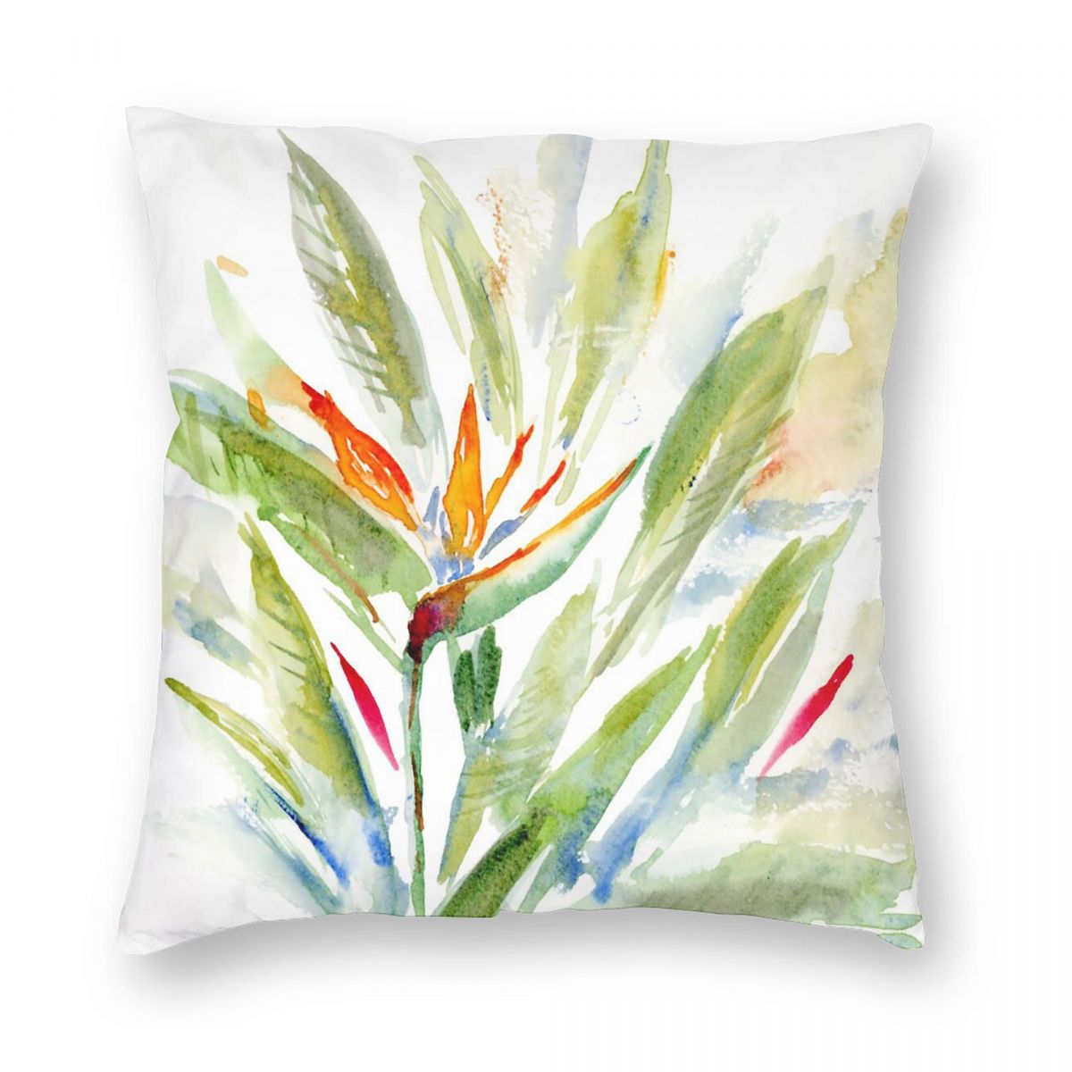 Bird Of Paradise Strelitzia Sa - Bird Paradise Strelitzia ulasan dan harga