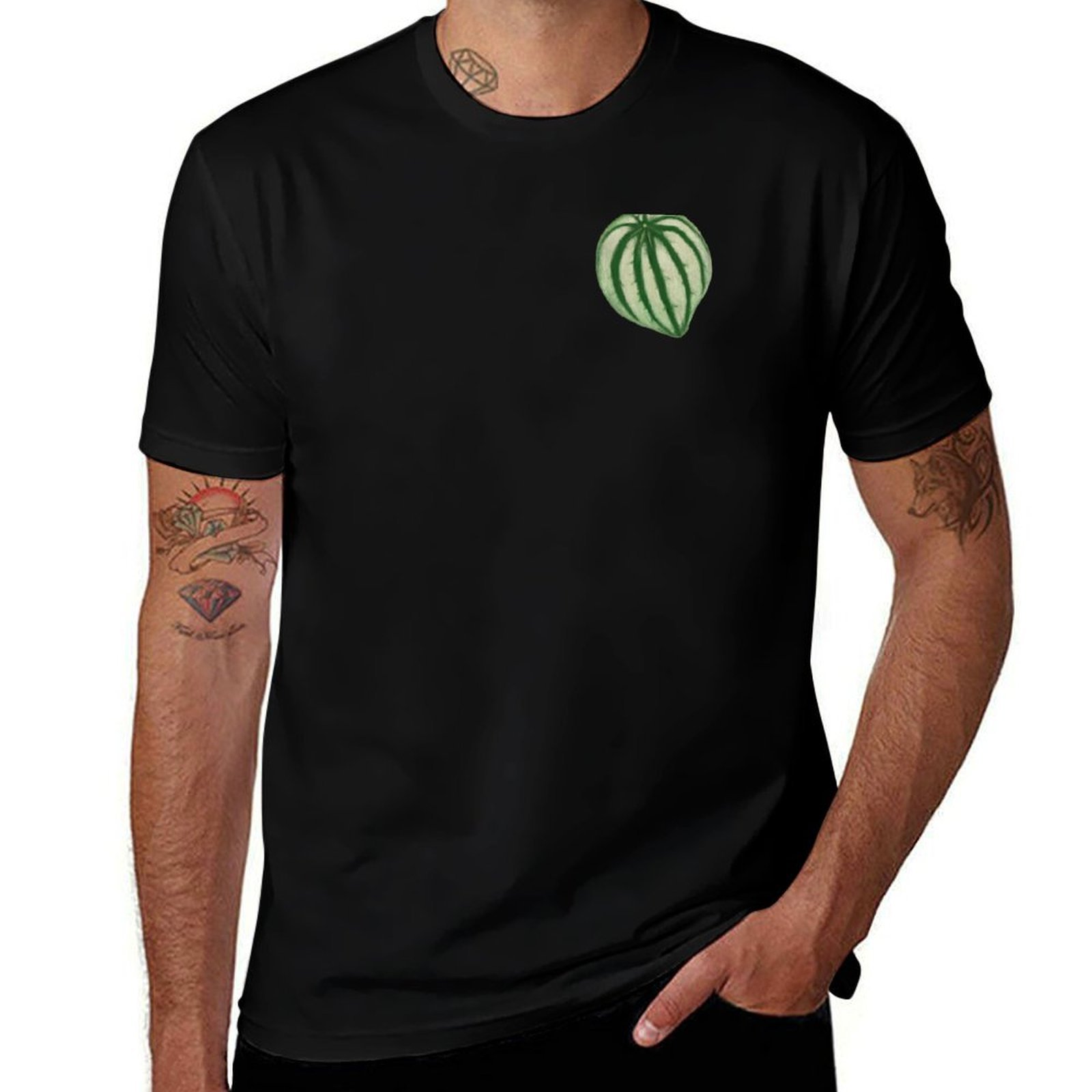 Kaos Watermelon Peperomia Kaos - Peperomia Watermelon ulasan dan harga