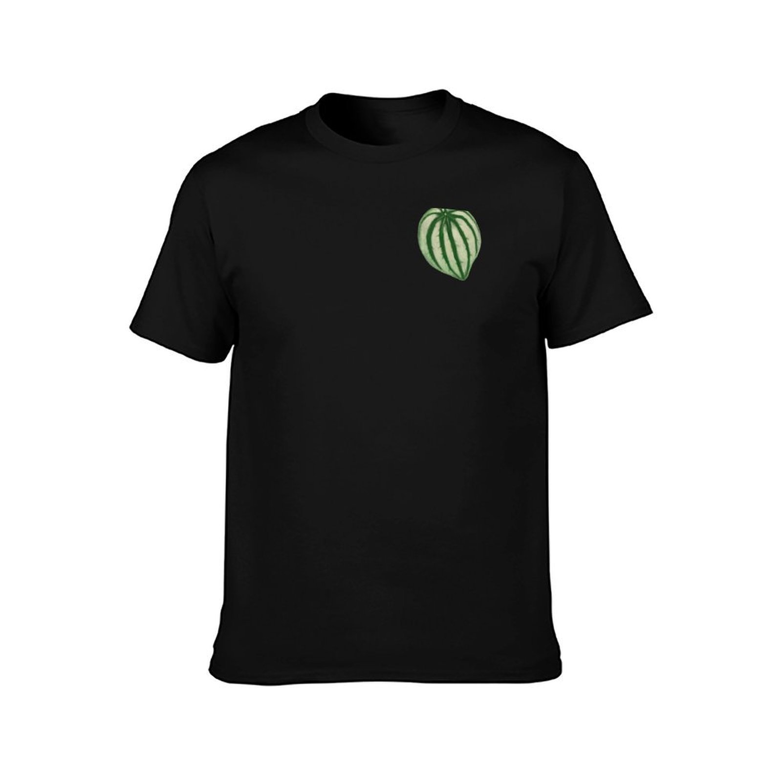 Kaos Watermelon Peperomia Kaos - Peperomia Watermelon ulasan dan harga
