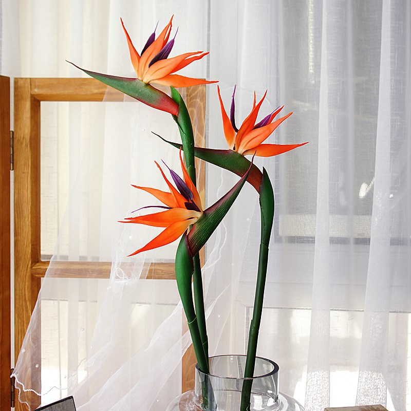 3 Buah Bunga Burung Cendrawasi - Bird Paradise Strelitzia ulasan dan harga